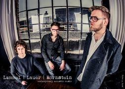 LAMMEL/LAUER/BORNSTEIN