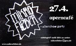 Mikrofieber 21