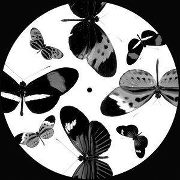 KLASSE #1 / Johanna Knutsson / Peter Invasion / Gardener
