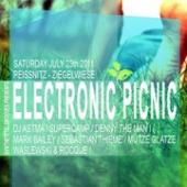 Electronic Picnic